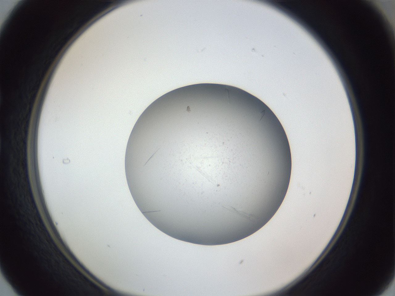 folderID326_plateID1326_batchID4444_wellNum29_profileID1_d1_r79716_ef.jpg