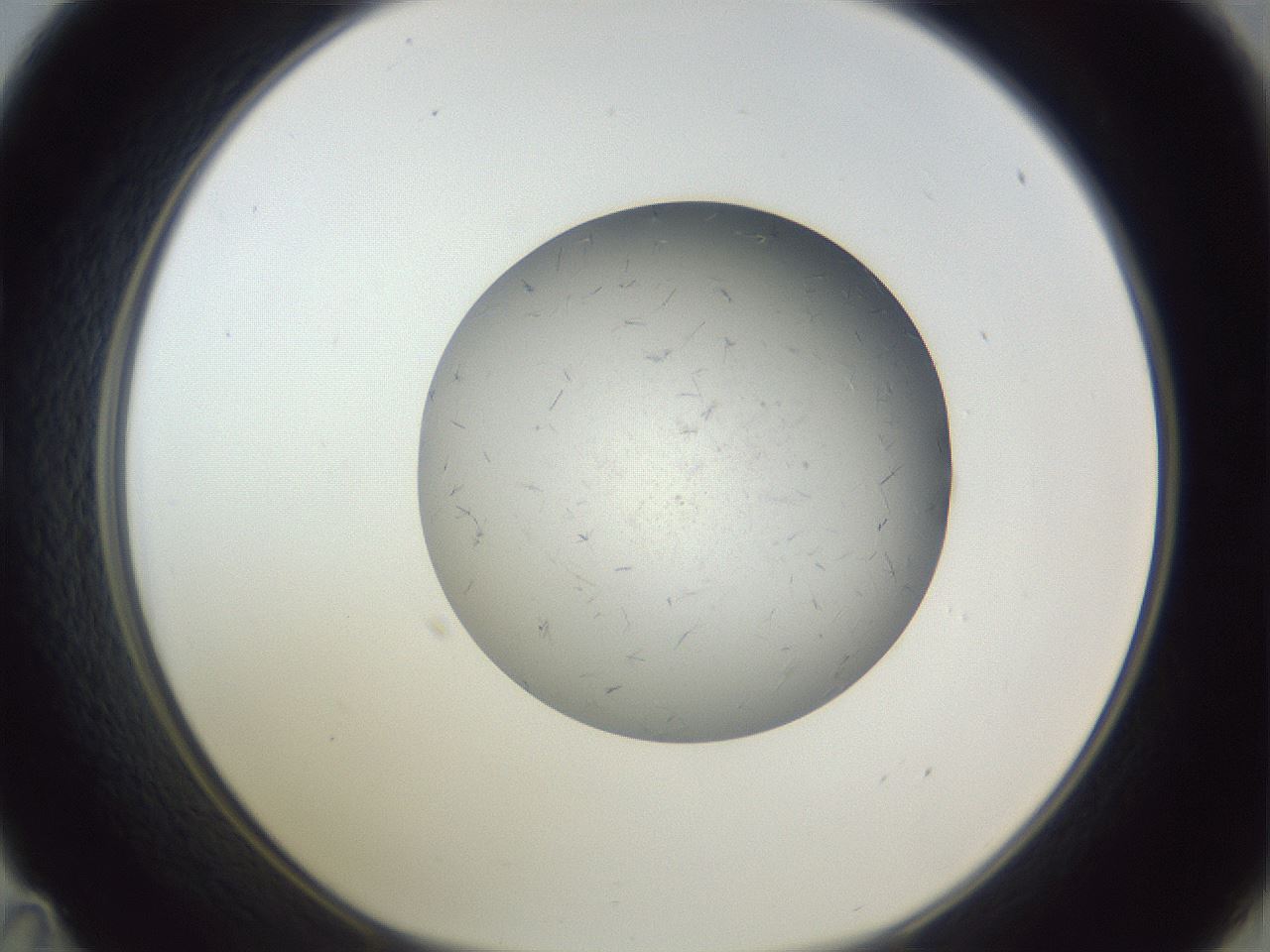 folderID326_plateID1326_batchID4444_wellNum35_profileID1_d1_r79722_ef.jpg