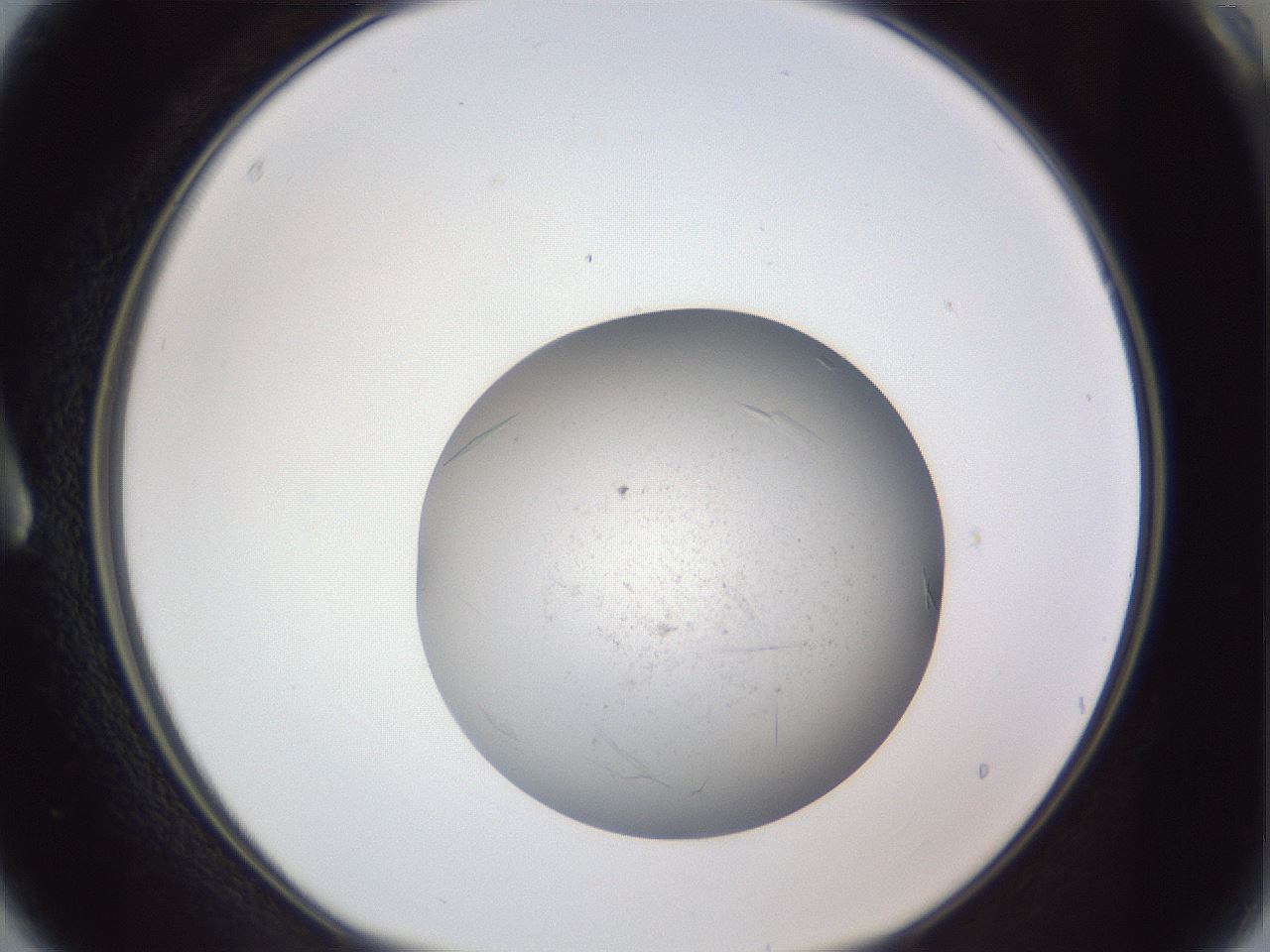 folderID326_plateID1326_batchID4444_wellNum3_profileID1_d1_r79690_ef.jpg