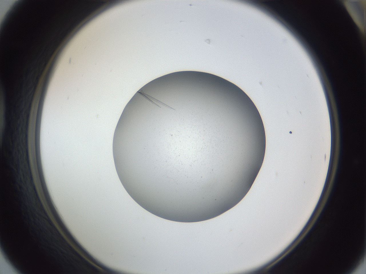 folderID326_plateID1326_batchID4444_wellNum42_profileID1_d1_r79729_ef.jpg