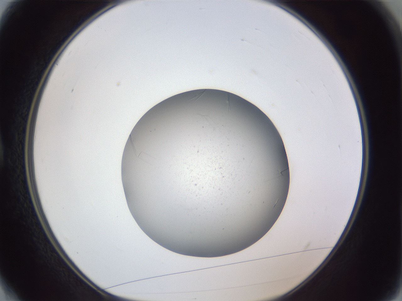 folderID326_plateID1326_batchID4444_wellNum4_profileID1_d1_r79691_ef.jpg