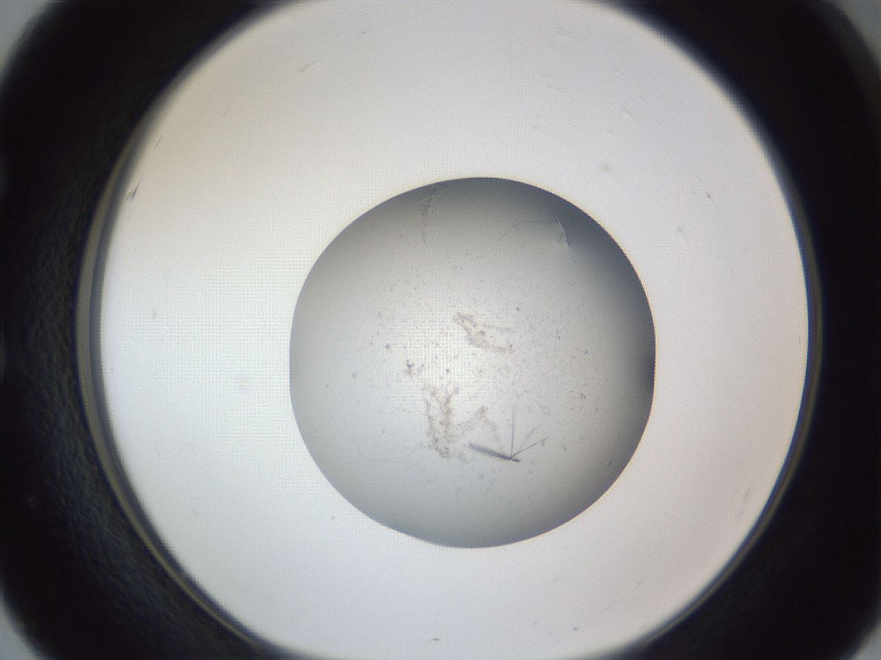 folderID326_plateID1326_batchID4444_wellNum51_profileID1_d1_r79738_ef.jpg