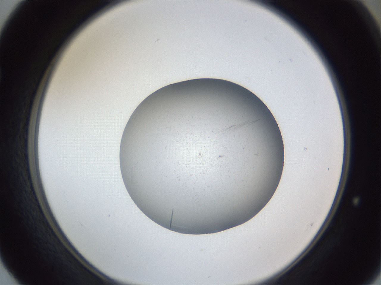 folderID326_plateID1326_batchID4444_wellNum52_profileID1_d1_r79739_ef.jpg