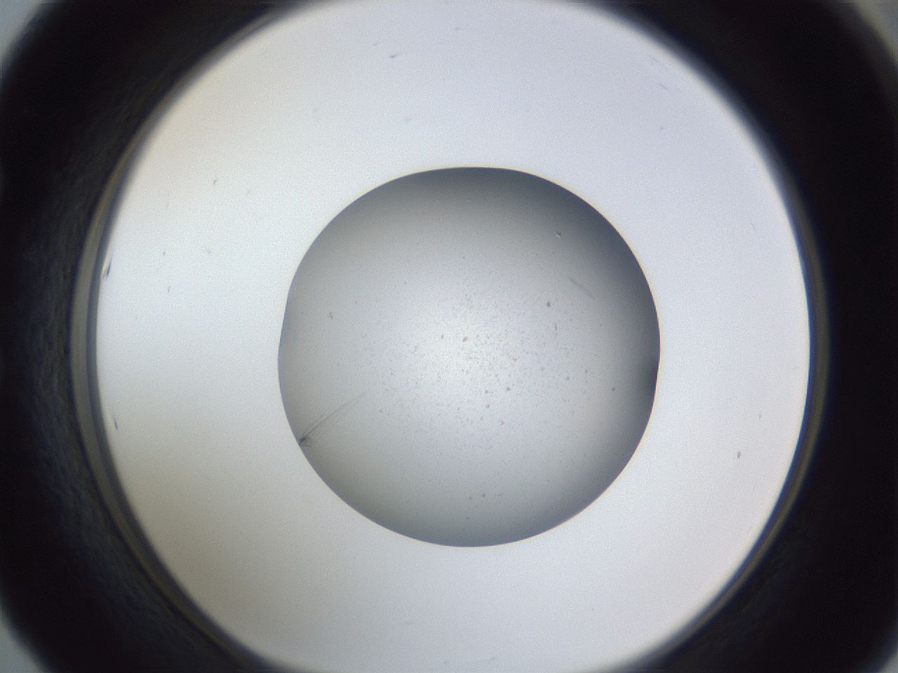 folderID326_plateID1326_batchID4444_wellNum53_profileID1_d1_r79740_ef.jpg