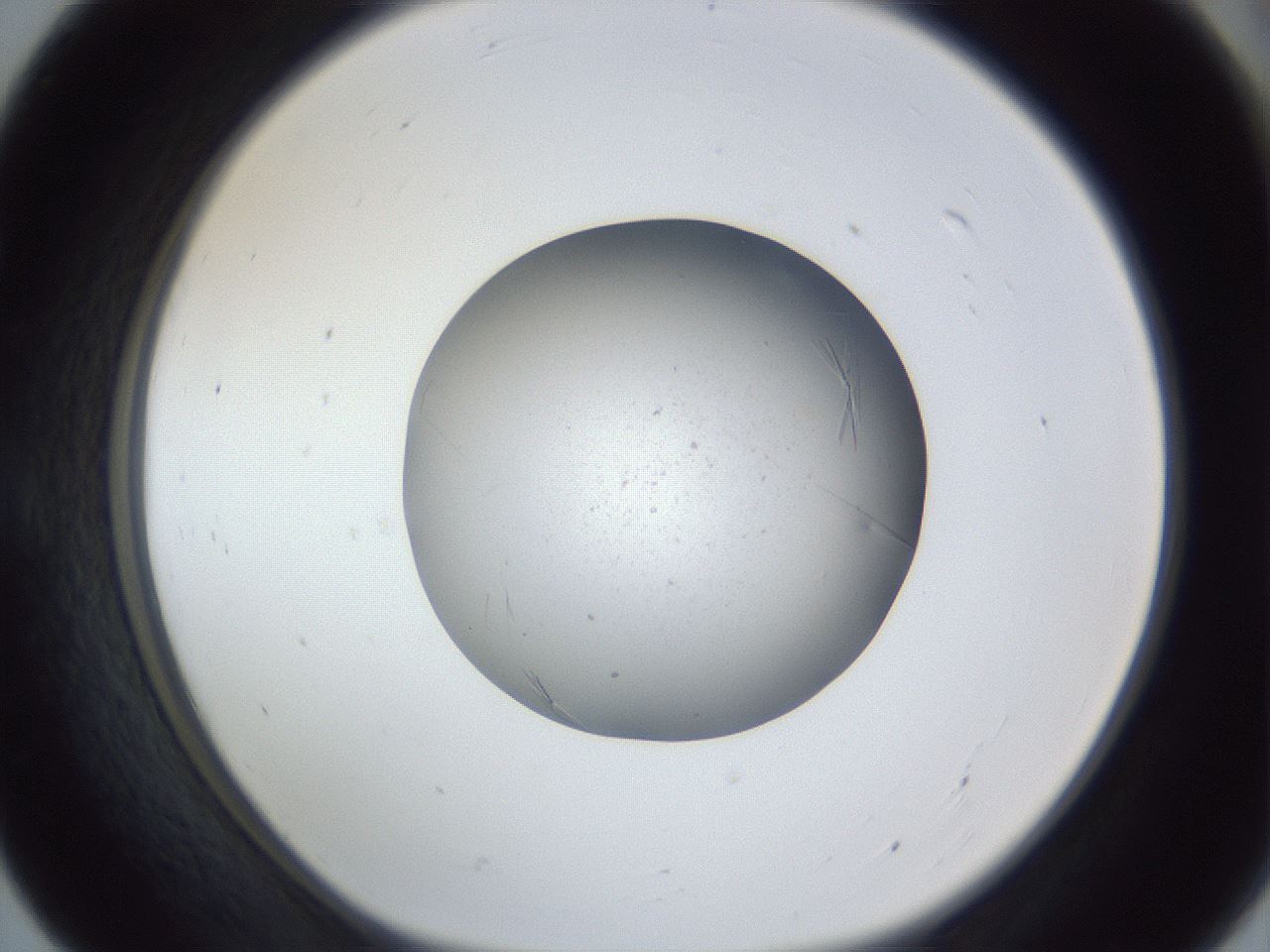 folderID326_plateID1326_batchID4444_wellNum55_profileID1_d1_r79742_ef.jpg