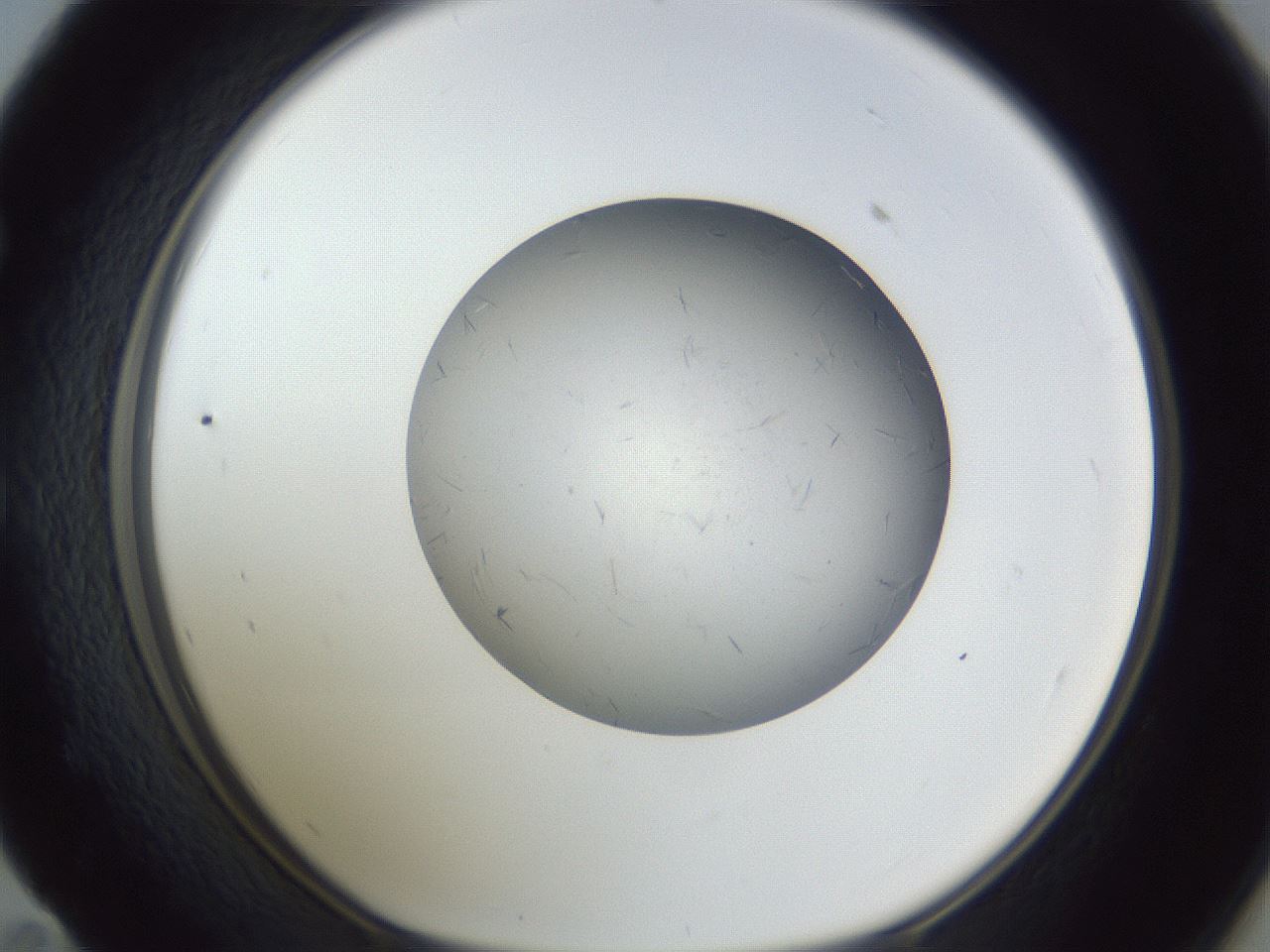 folderID326_plateID1326_batchID4444_wellNum59_profileID1_d1_r79746_ef.jpg