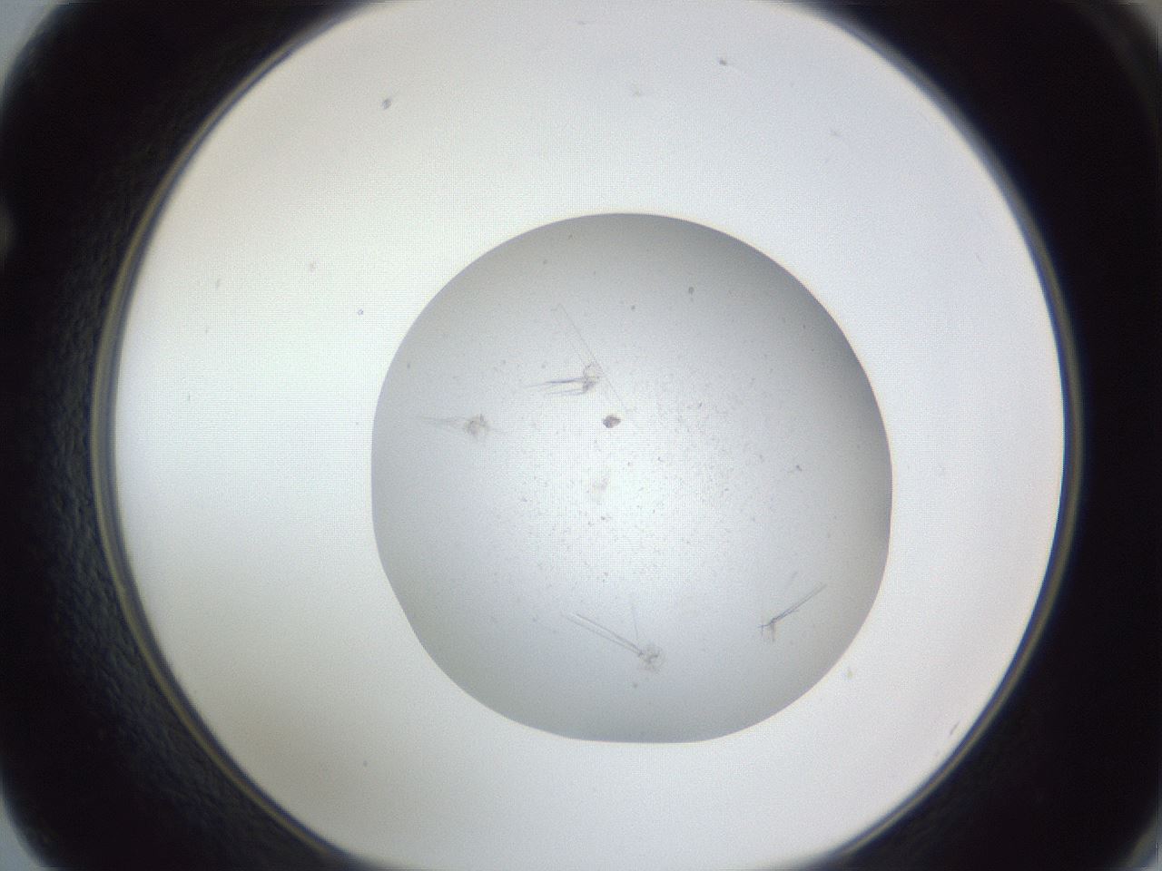 folderID326_plateID1326_batchID4444_wellNum62_profileID1_d1_r79749_ef.jpg