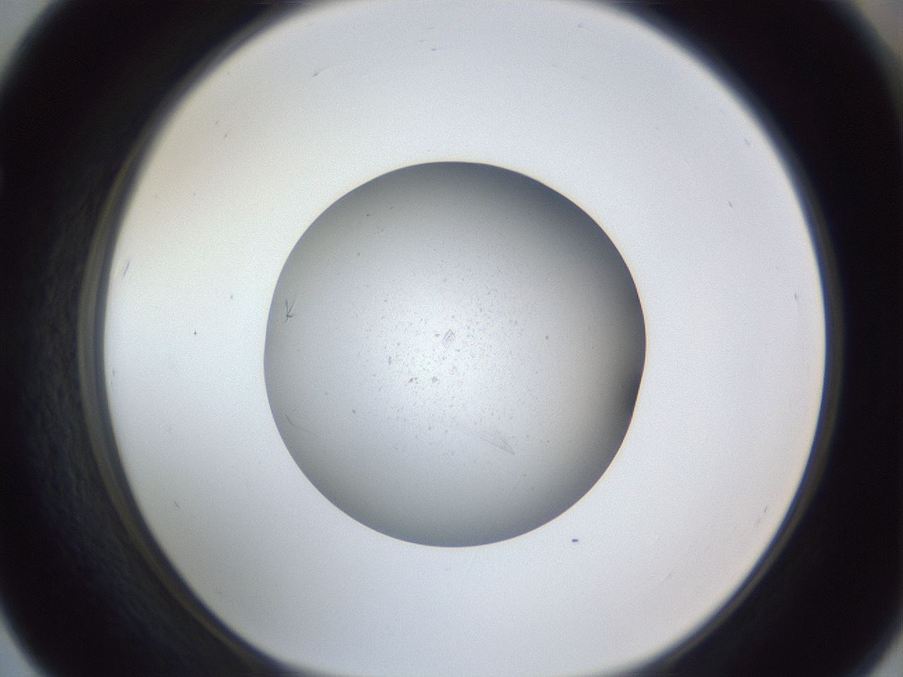 folderID326_plateID1326_batchID4444_wellNum67_profileID1_d1_r79754_ef.jpg