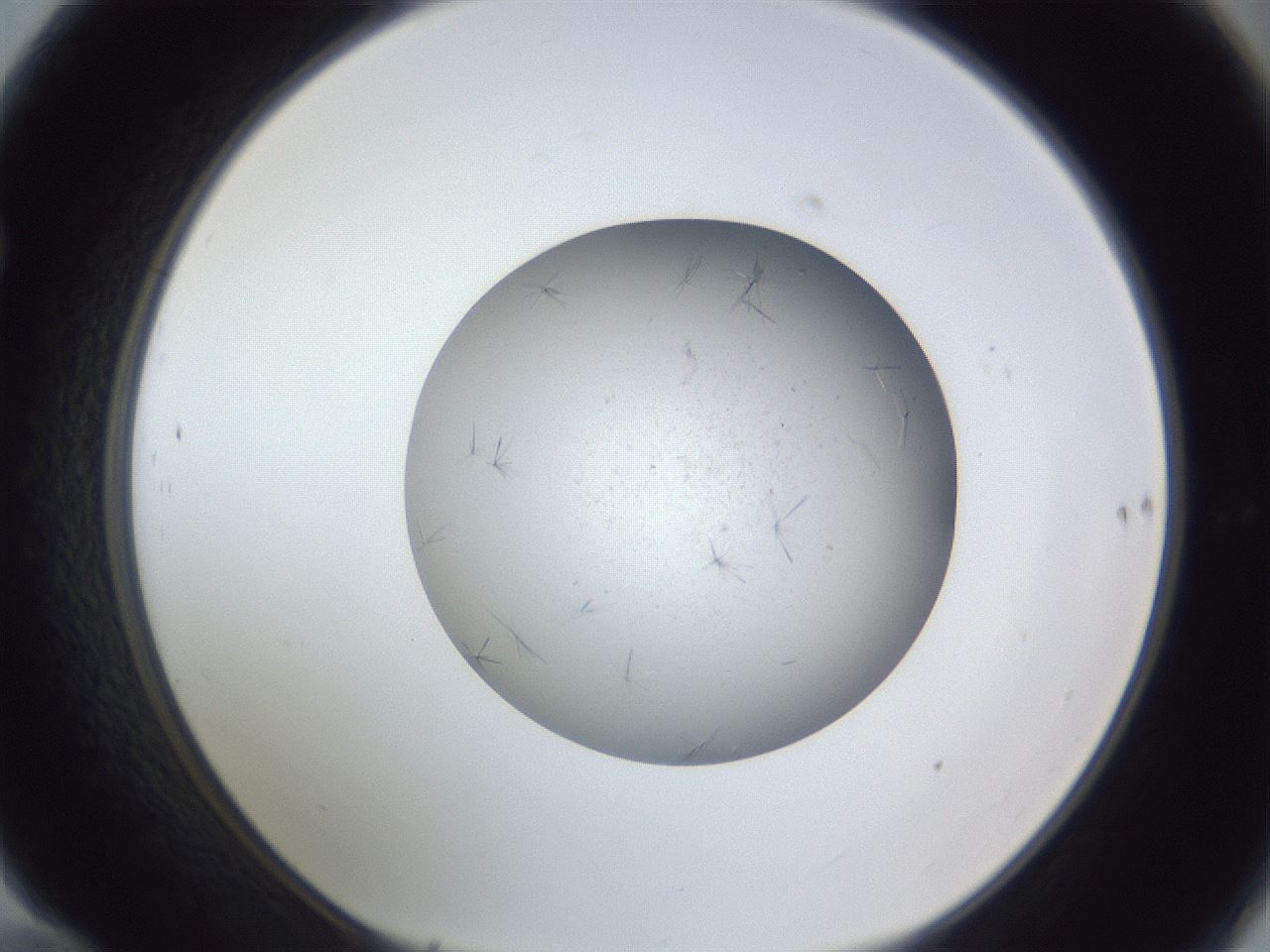 folderID326_plateID1326_batchID4444_wellNum70_profileID1_d1_r79757_ef.jpg