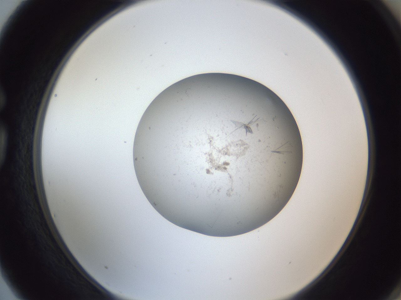 folderID326_plateID1326_batchID4444_wellNum75_profileID1_d1_r79762_ef.jpg