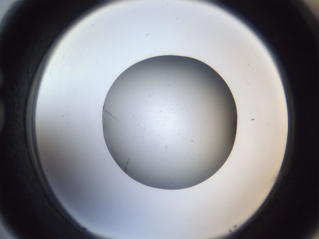 folderID326_plateID1326_batchID4444_wellNum77_profileID1_d1_r79764_ef.jpg