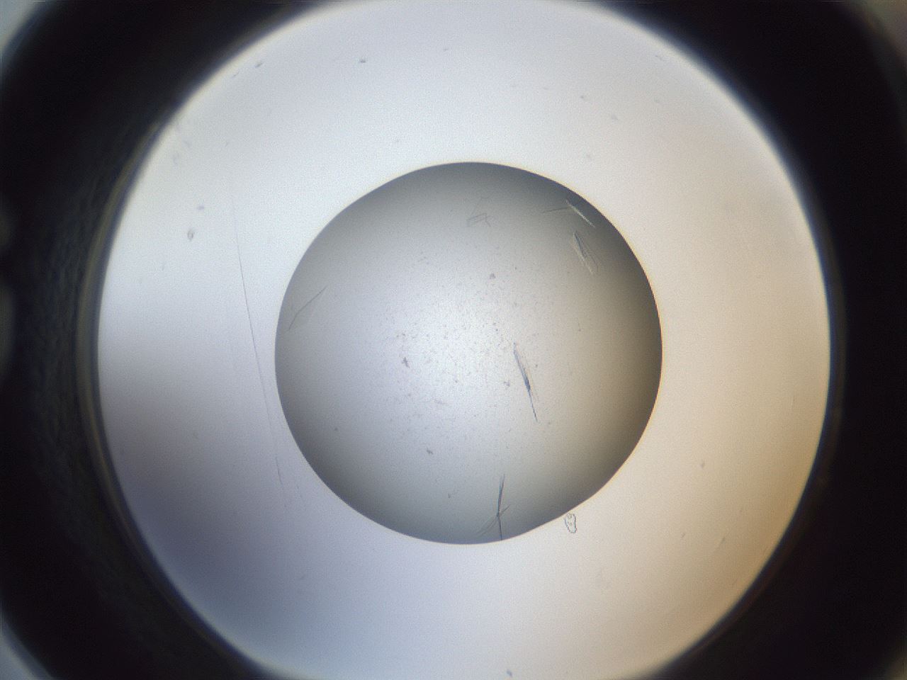 folderID326_plateID1326_batchID4444_wellNum78_profileID1_d1_r79765_ef.jpg