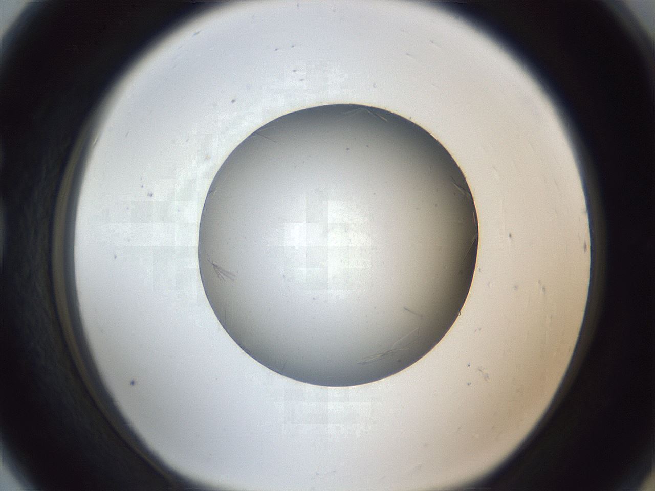 folderID326_plateID1326_batchID4444_wellNum80_profileID1_d1_r79767_ef.jpg