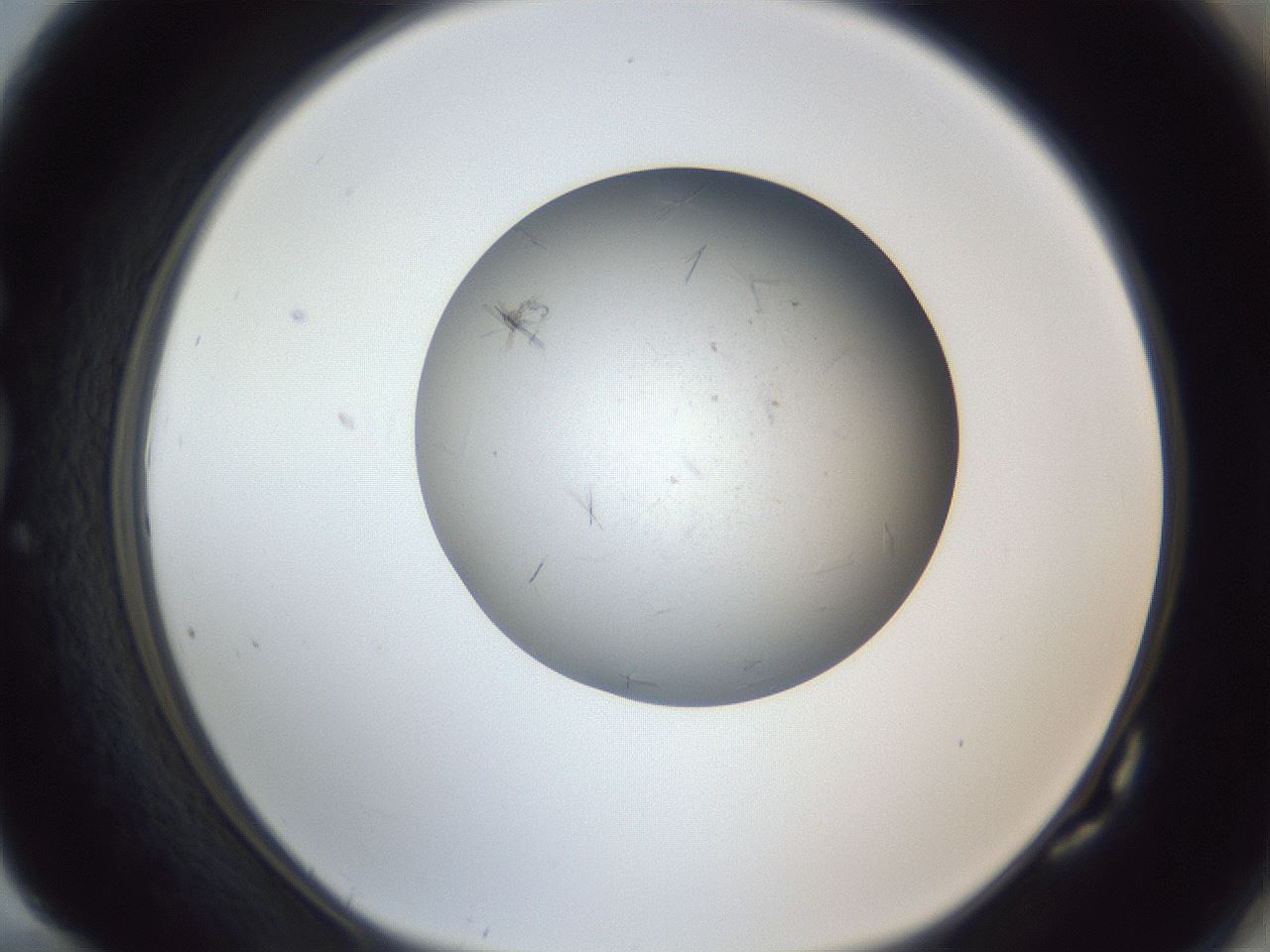folderID326_plateID1326_batchID4444_wellNum82_profileID1_d1_r79769_ef.jpg