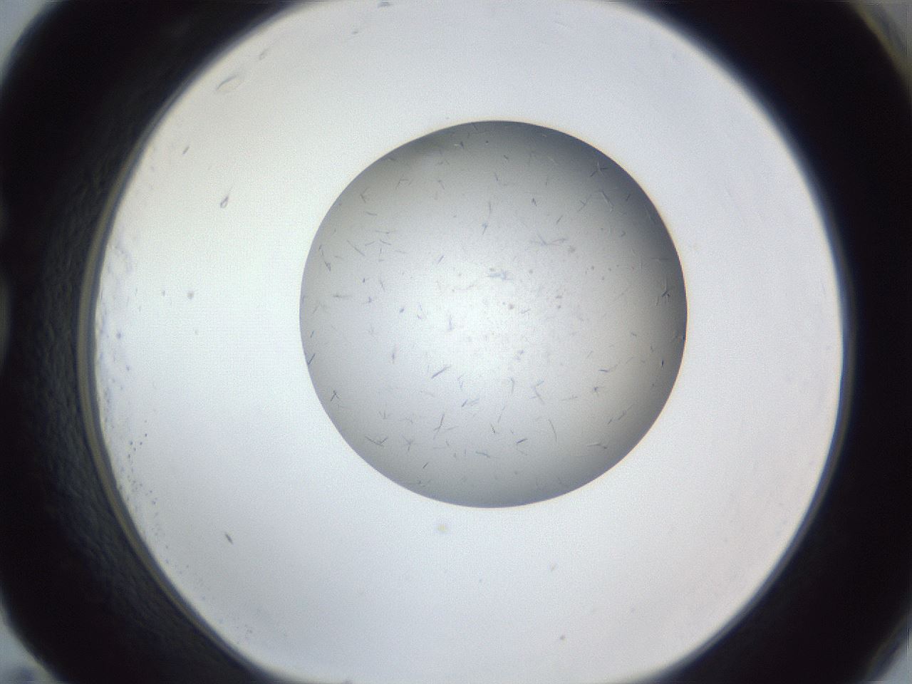 folderID326_plateID1326_batchID4444_wellNum83_profileID1_d1_r79770_ef.jpg