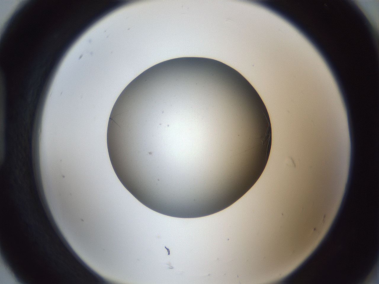 folderID326_plateID1326_batchID4444_wellNum92_profileID1_d1_r79779_ef.jpg