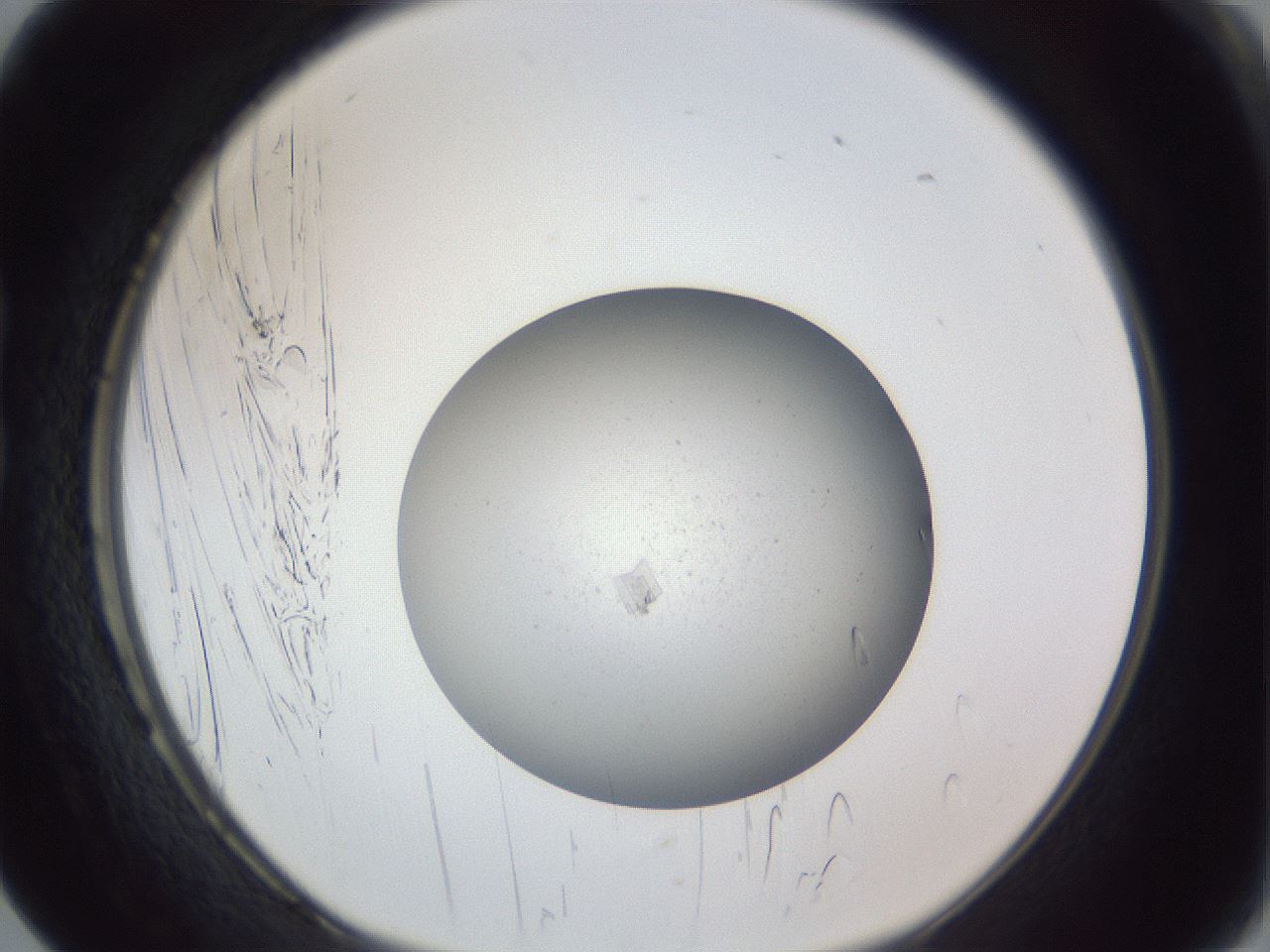 folderID326_plateID1326_batchID4493_wellNum17_profileID1_d1_r79704_ef.jpg