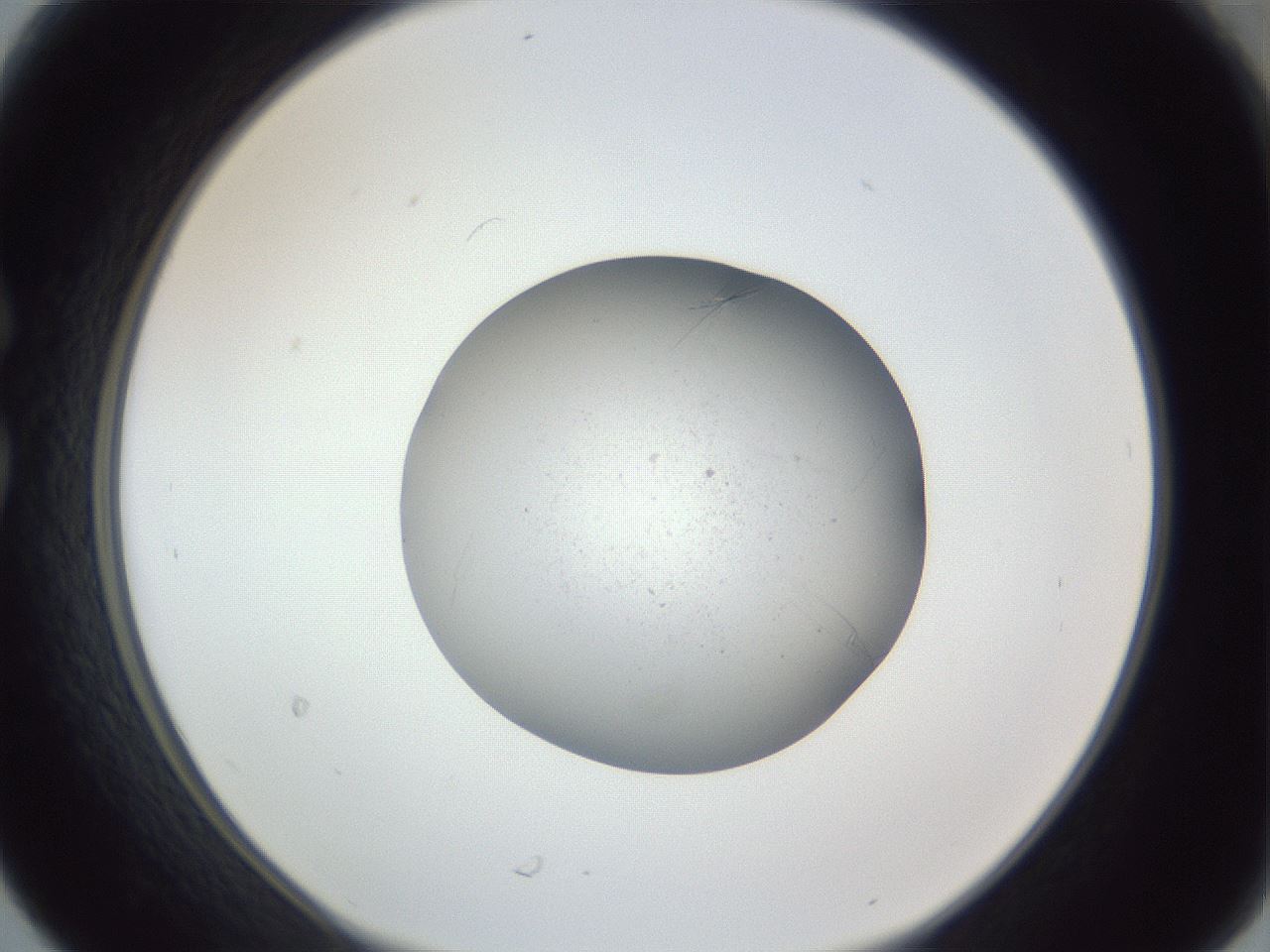 folderID326_plateID1326_batchID4493_wellNum30_profileID1_d1_r79717_ef.jpg