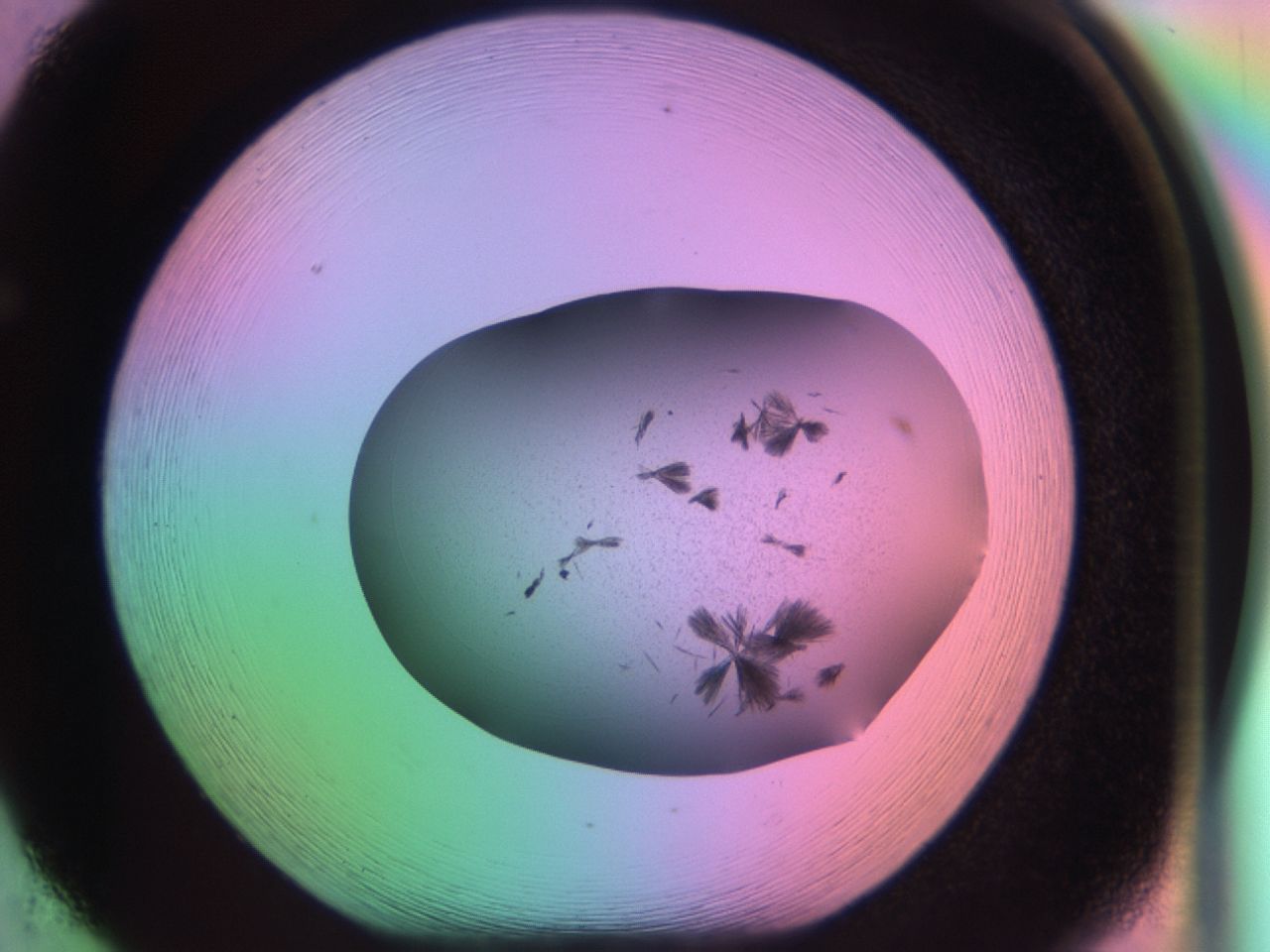 03ev_F5_ImagerDefaults_6.jpg
