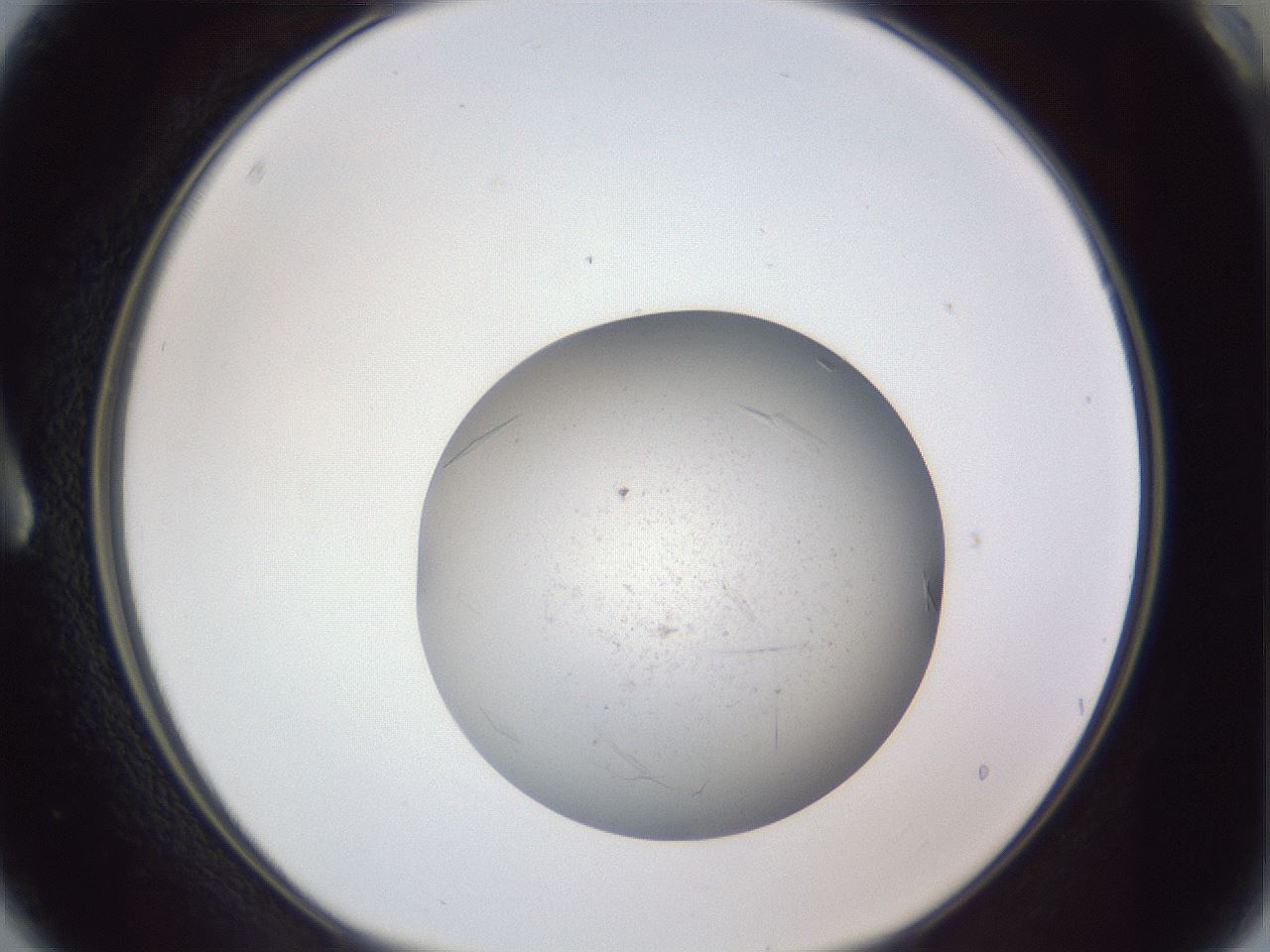 folderID326_plateID1326_batchID4493_wellNum3_profileID1_d1_r79690_ef.jpg