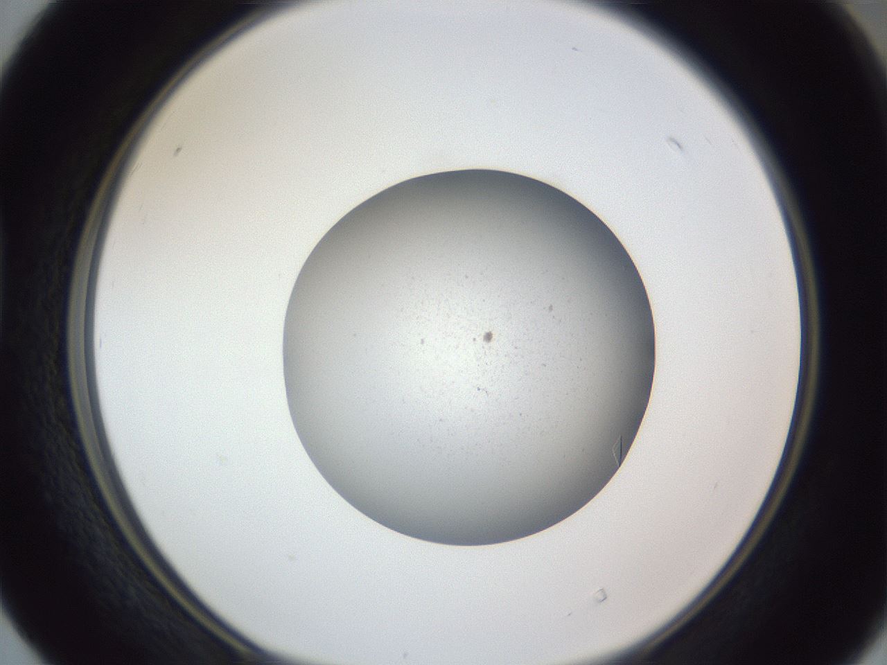 folderID326_plateID1326_batchID4493_wellNum40_profileID1_d1_r79727_ef.jpg