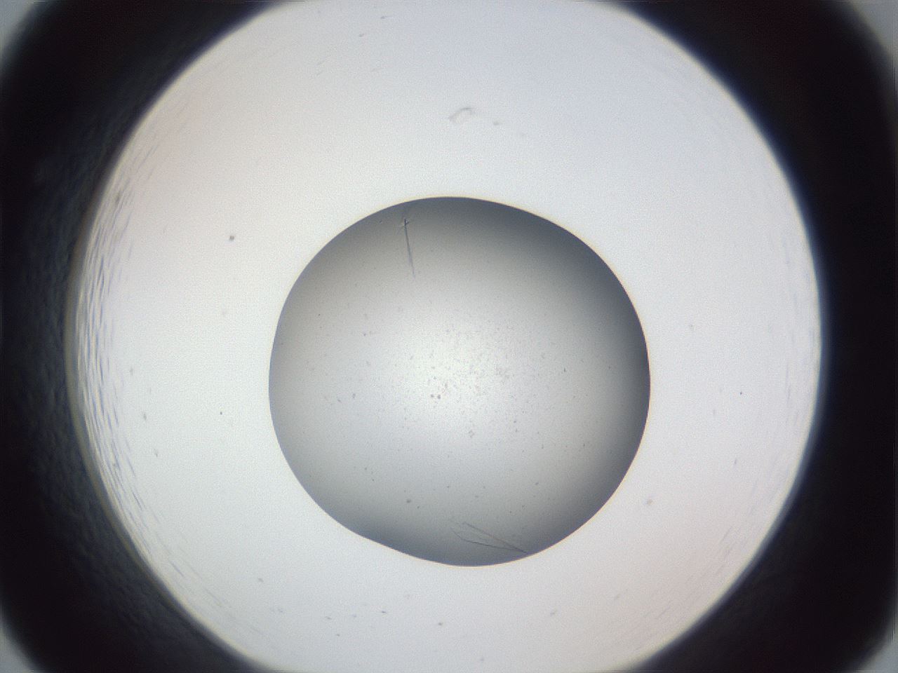 folderID326_plateID1326_batchID4493_wellNum19_profileID1_d1_r79706_ef.jpg
