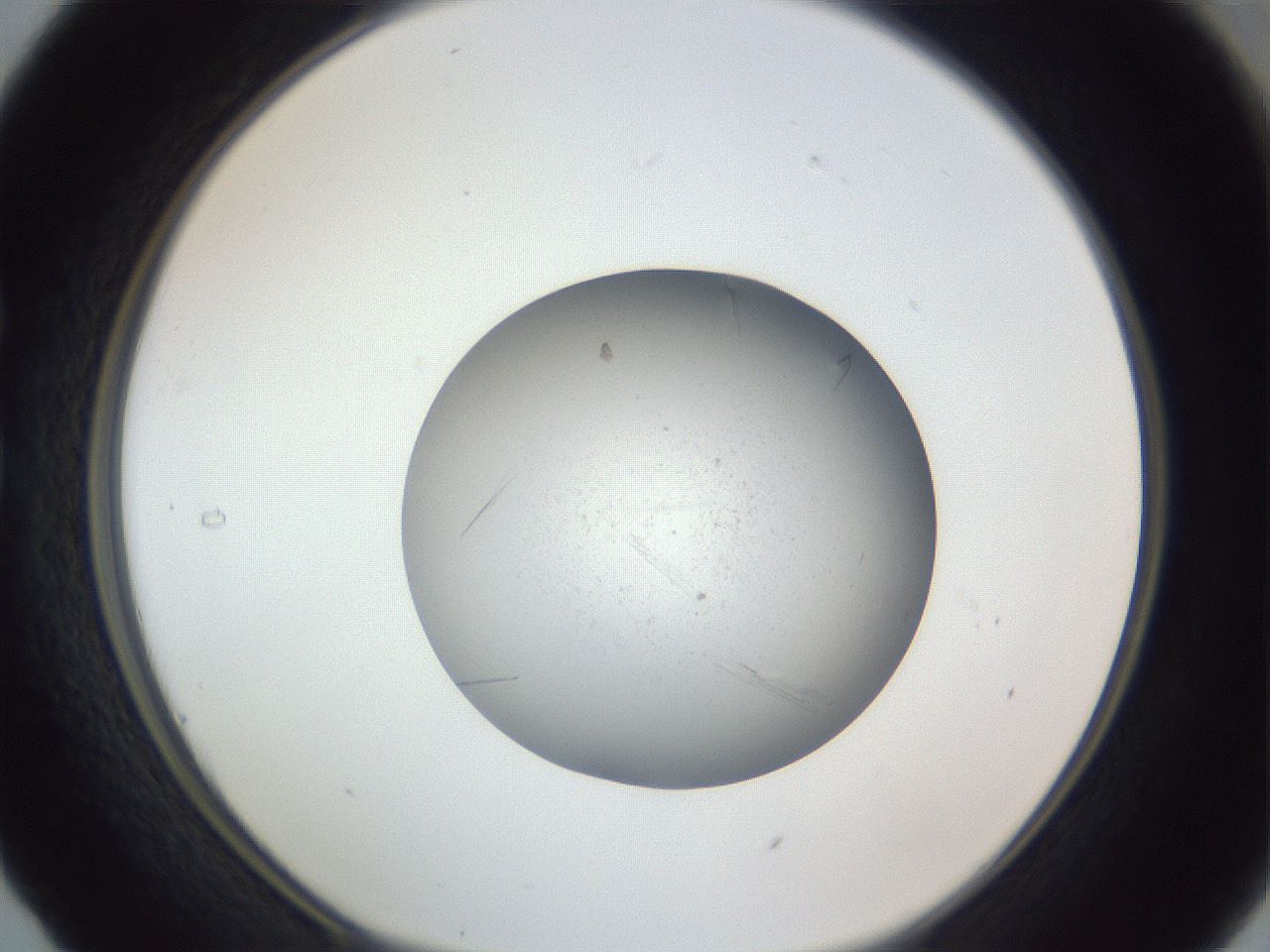 folderID326_plateID1326_batchID4493_wellNum29_profileID1_d1_r79716_ef.jpg