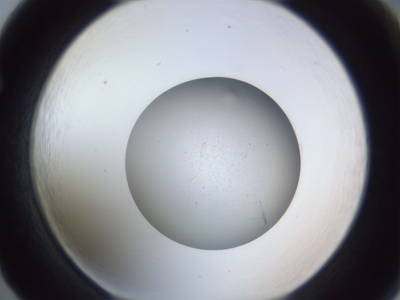 folderID326_plateID1326_batchID4493_wellNum65_profileID1_d1_r79752_ef.jpg