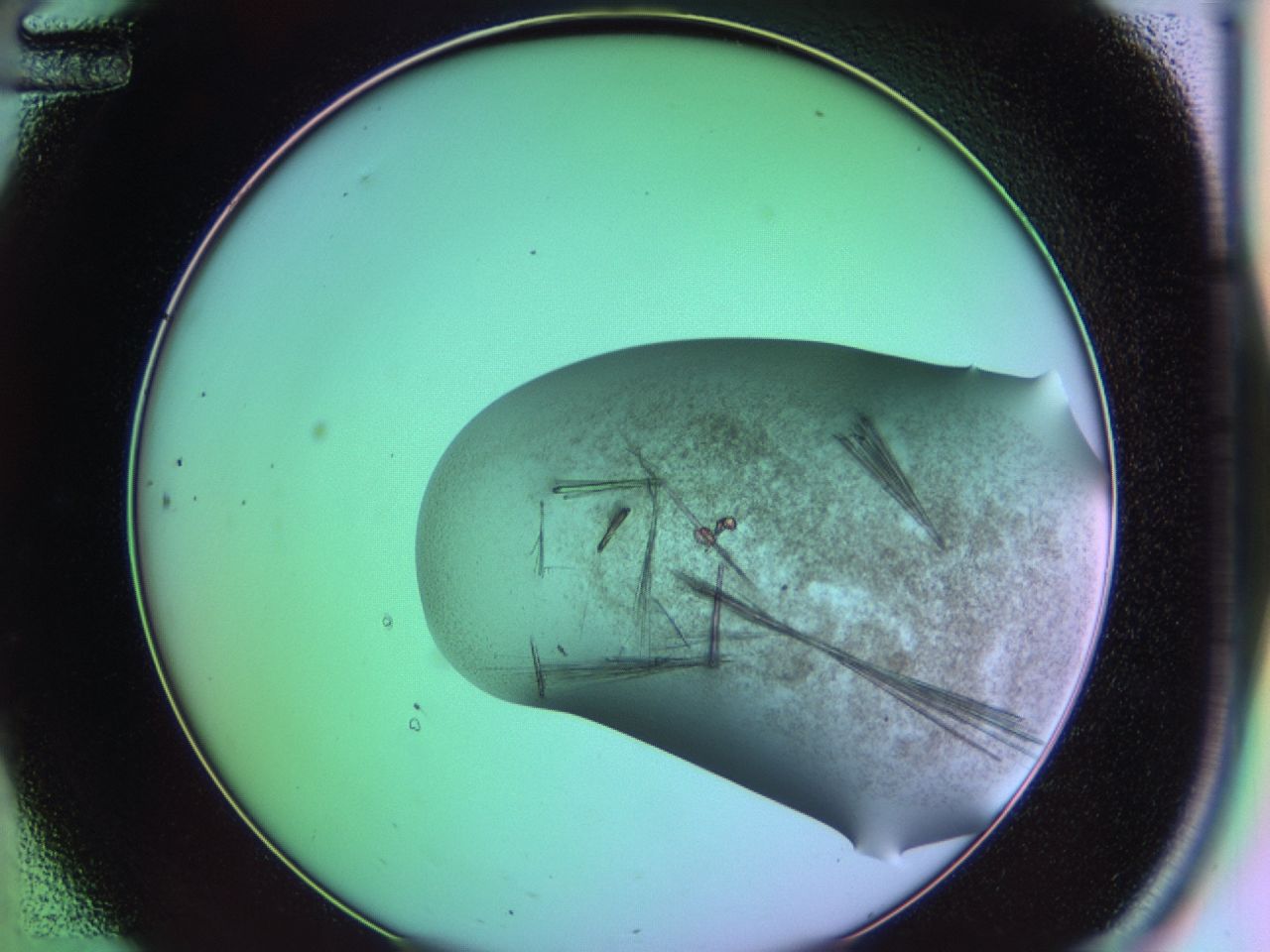 03ev_C12_ImagerDefaults_6.jpg