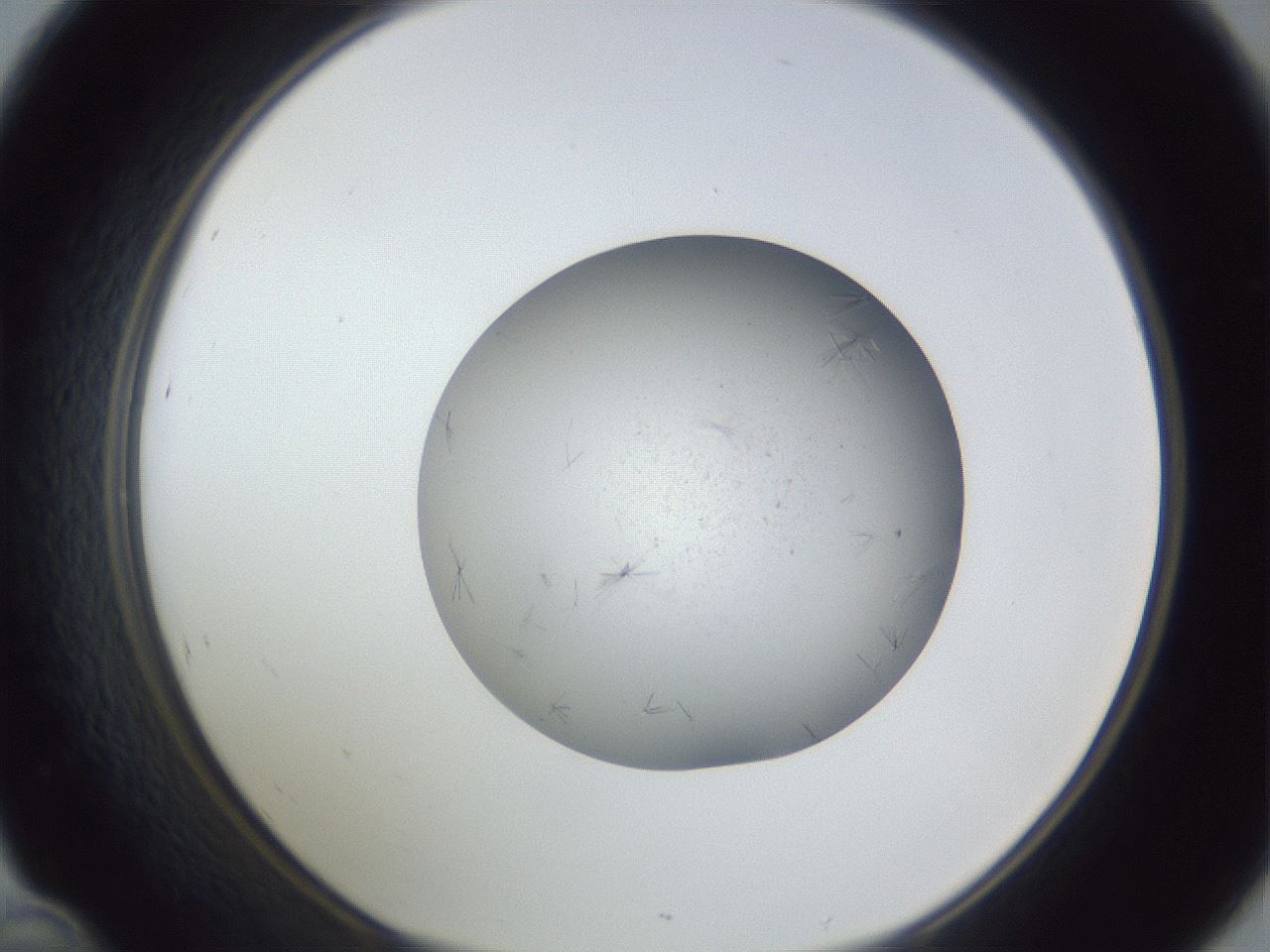 folderID326_plateID1326_batchID4493_wellNum46_profileID1_d1_r79733_ef.jpg