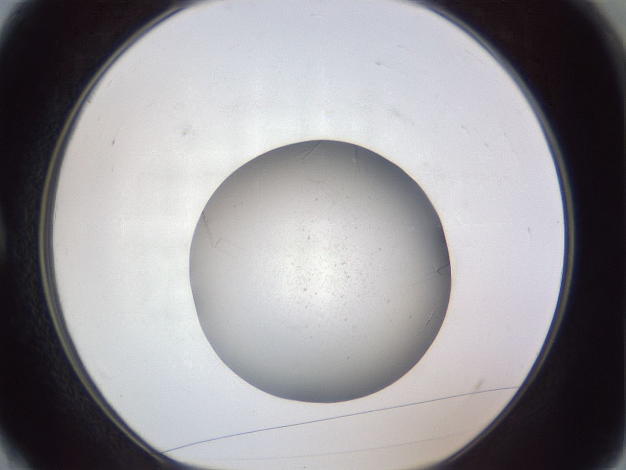folderID326_plateID1326_batchID4493_wellNum4_profileID1_d1_r79691_ef.jpg