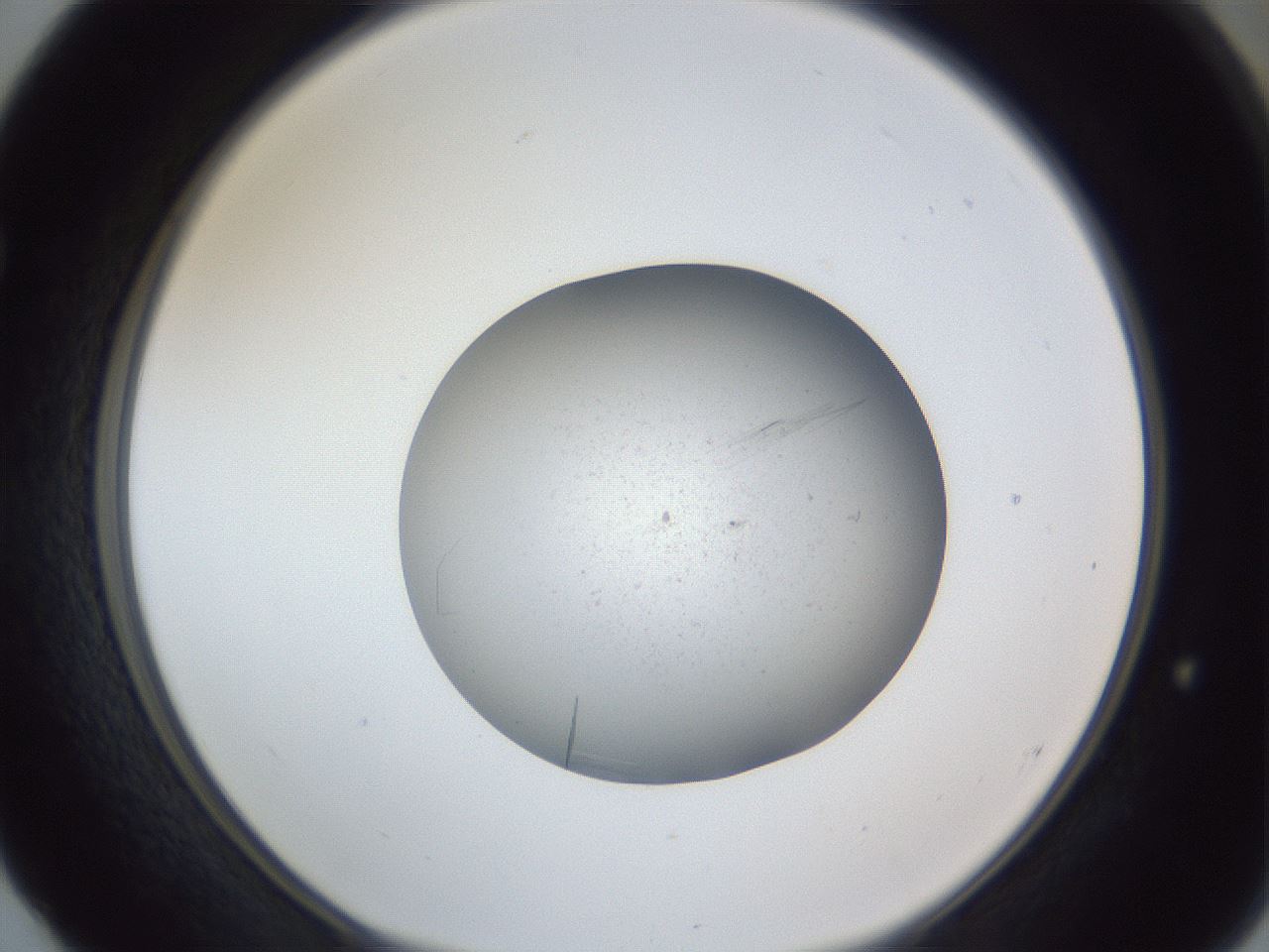 folderID326_plateID1326_batchID4493_wellNum52_profileID1_d1_r79739_ef.jpg