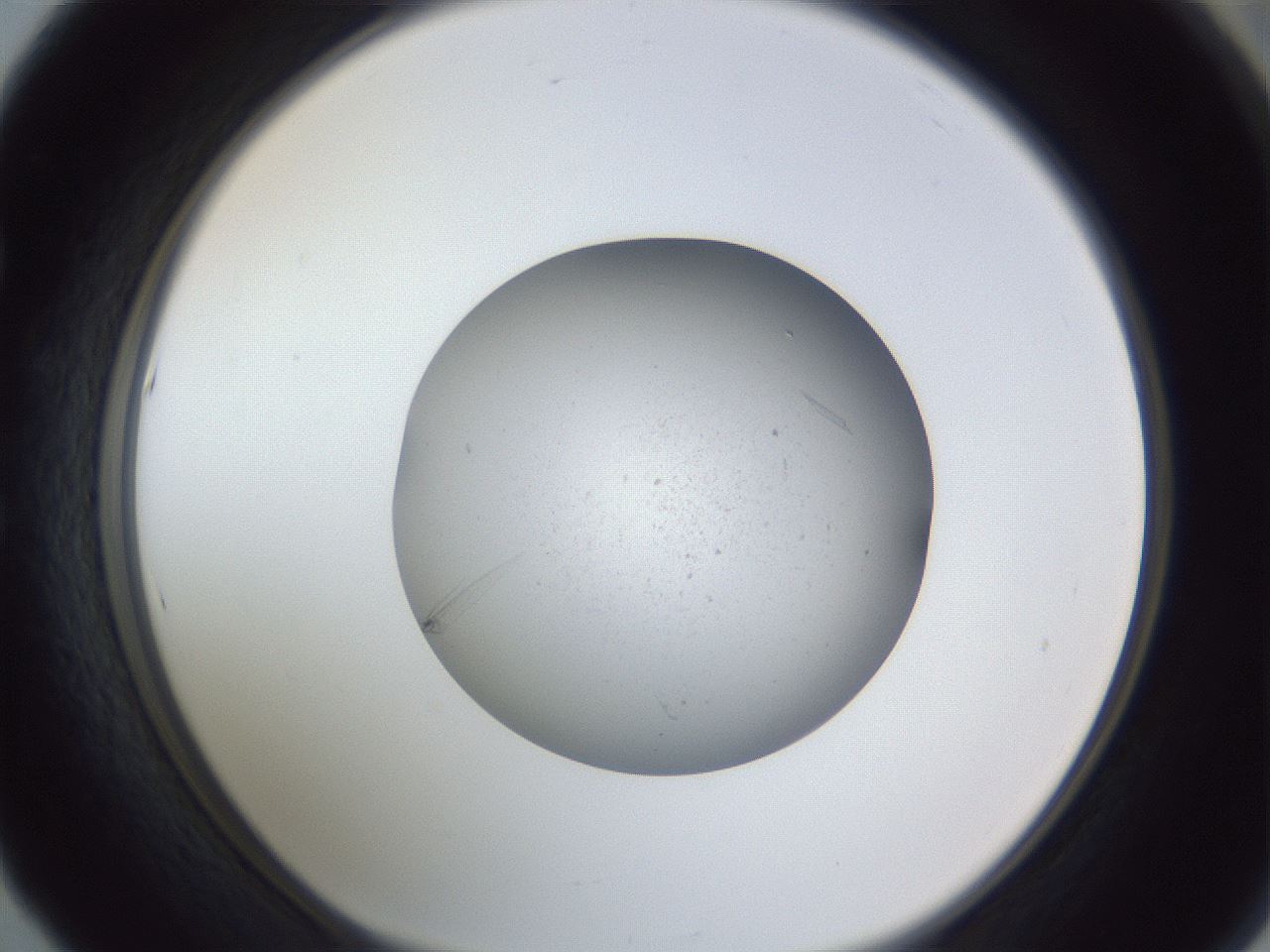 folderID326_plateID1326_batchID4493_wellNum53_profileID1_d1_r79740_ef.jpg