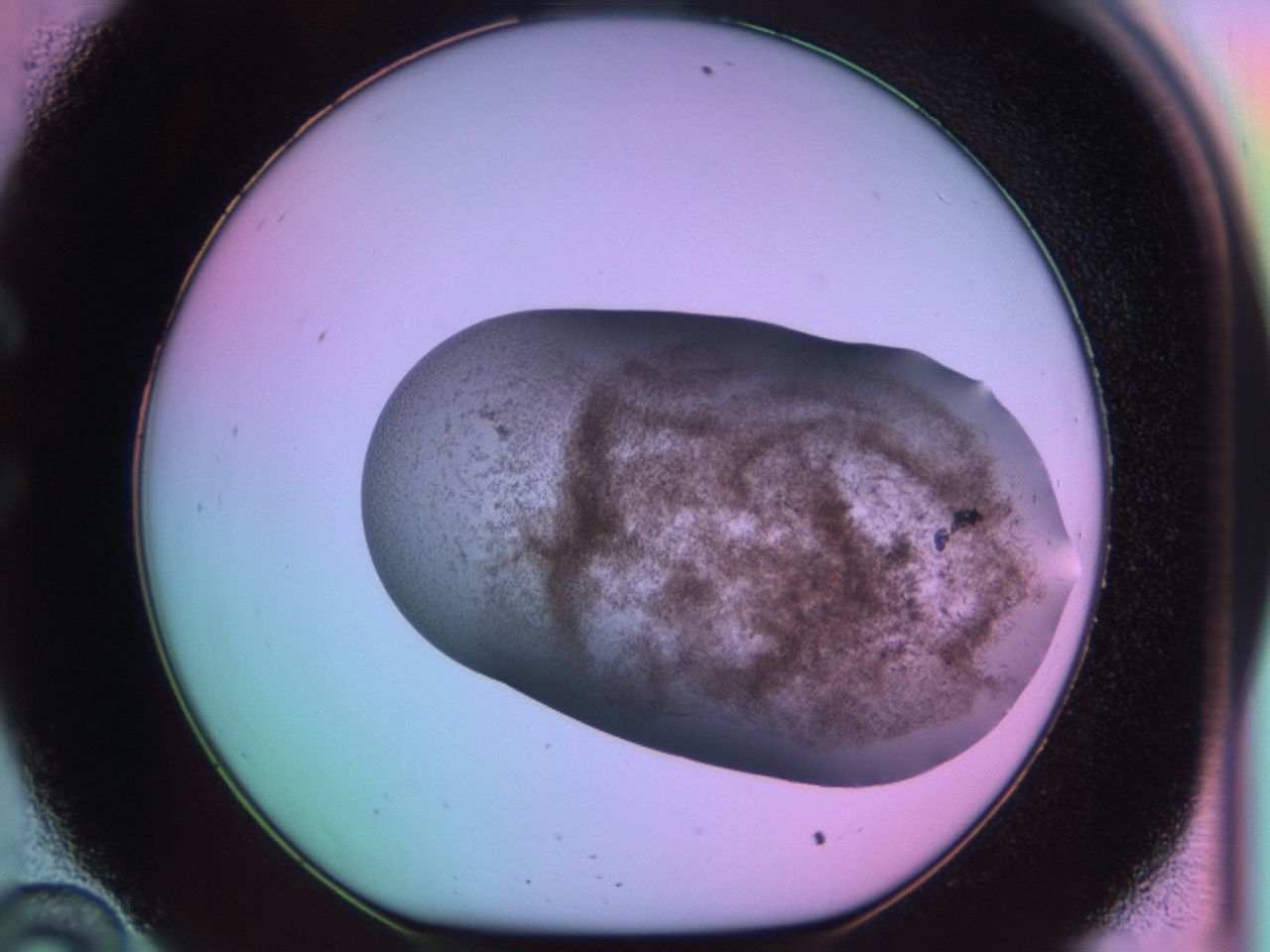 03ev_C10_ImagerDefaults_6.jpg