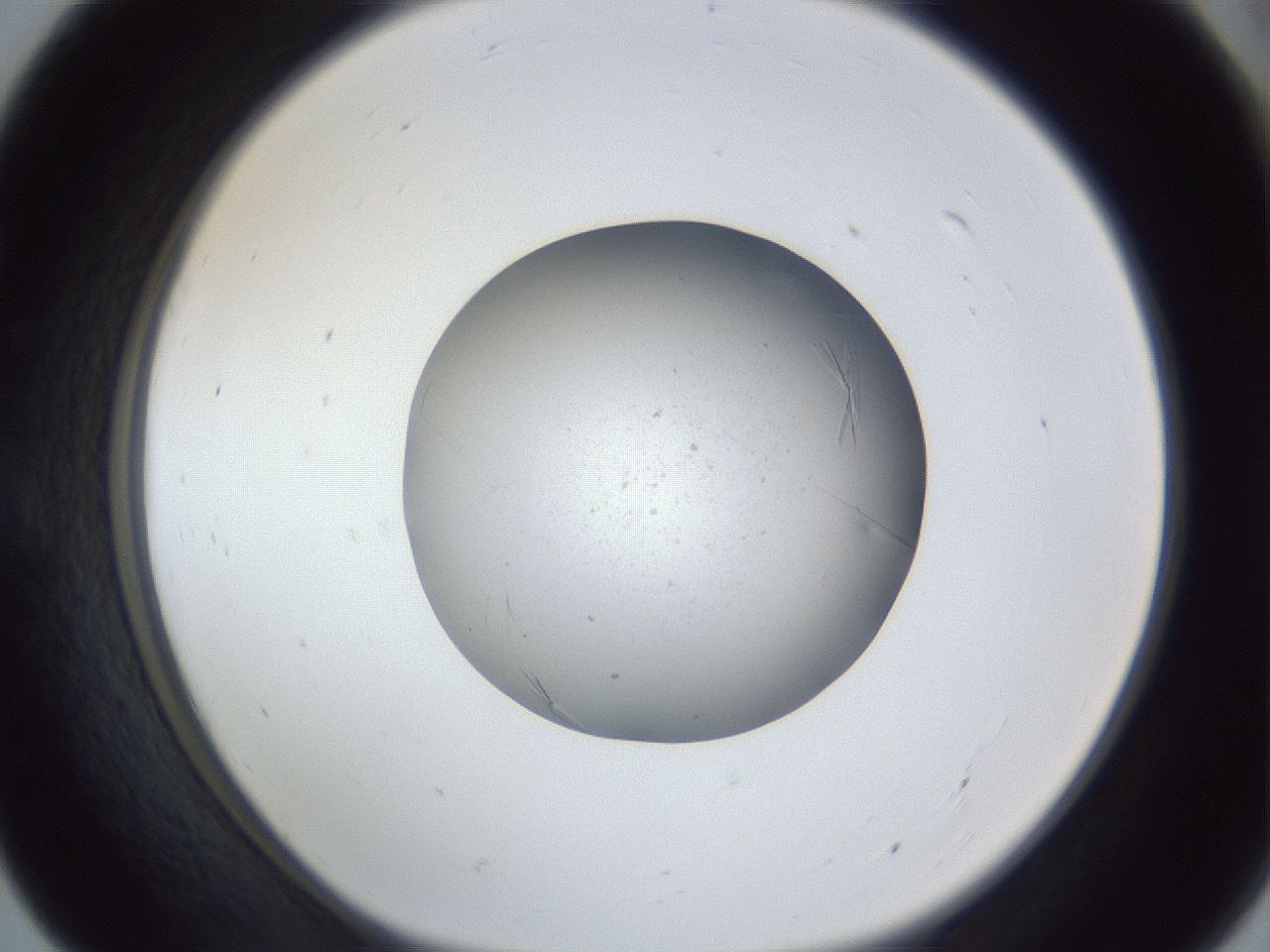 folderID326_plateID1326_batchID4493_wellNum55_profileID1_d1_r79742_ef.jpg