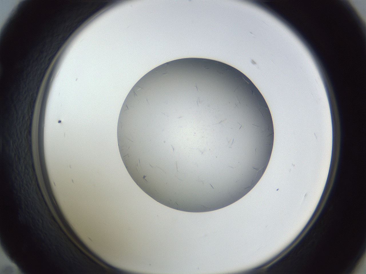folderID326_plateID1326_batchID4493_wellNum59_profileID1_d1_r79746_ef.jpg