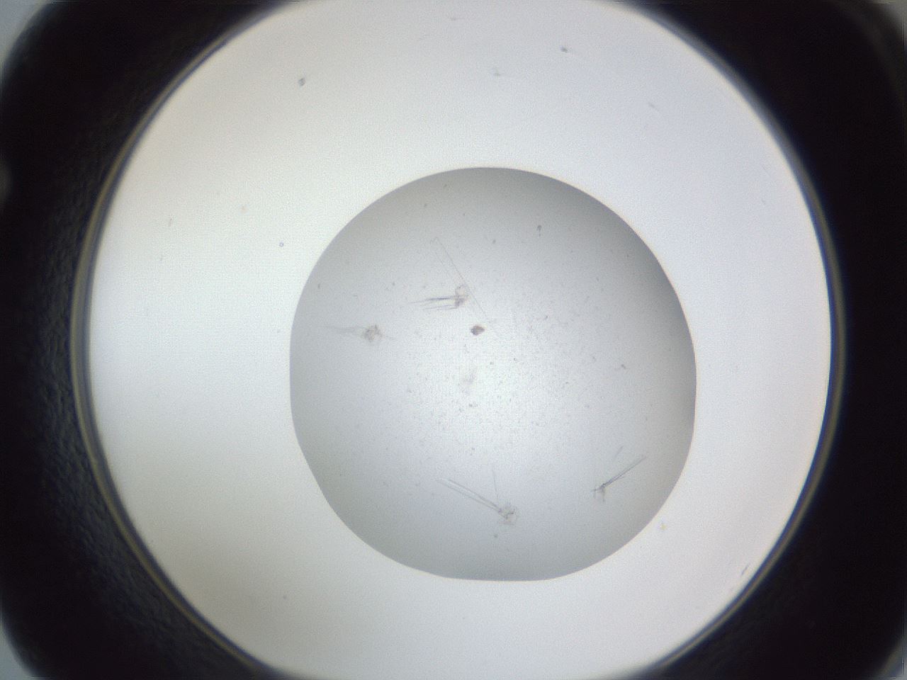 folderID326_plateID1326_batchID4493_wellNum62_profileID1_d1_r79749_ef.jpg