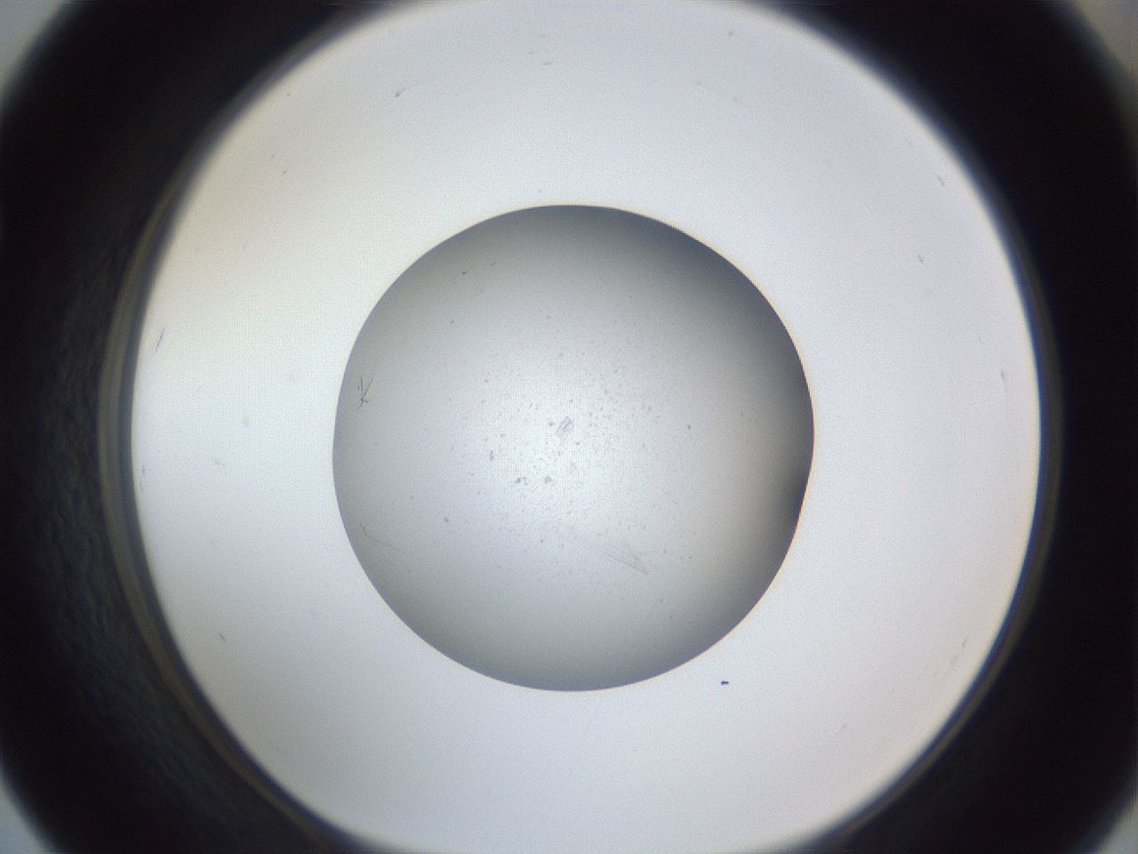 folderID326_plateID1326_batchID4493_wellNum67_profileID1_d1_r79754_ef.jpg