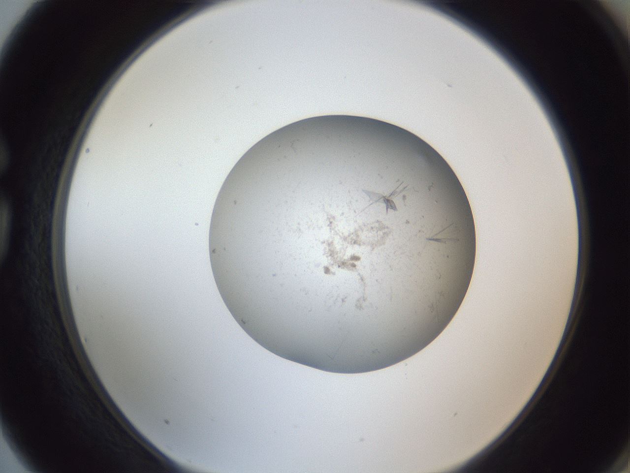 folderID326_plateID1326_batchID4493_wellNum75_profileID1_d1_r79762_ef.jpg