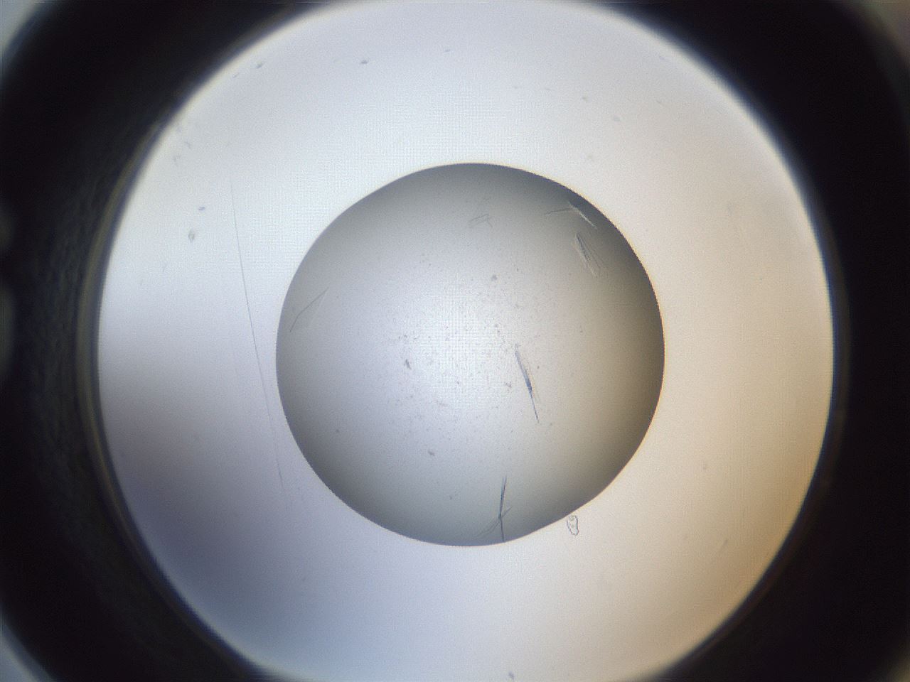 folderID326_plateID1326_batchID4493_wellNum78_profileID1_d1_r79765_ef.jpg