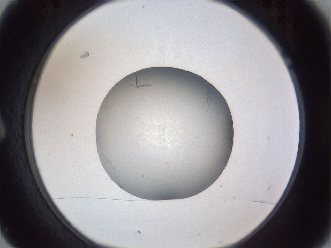 folderID326_plateID1326_batchID4493_wellNum7_profileID1_d1_r79694_ef.jpg
