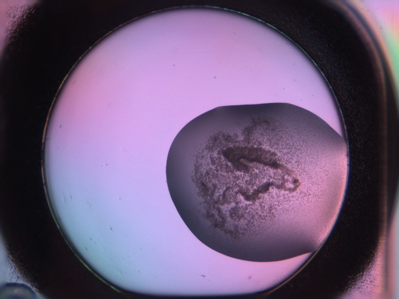 03ew_D10_ImagerDefaults_6.jpg