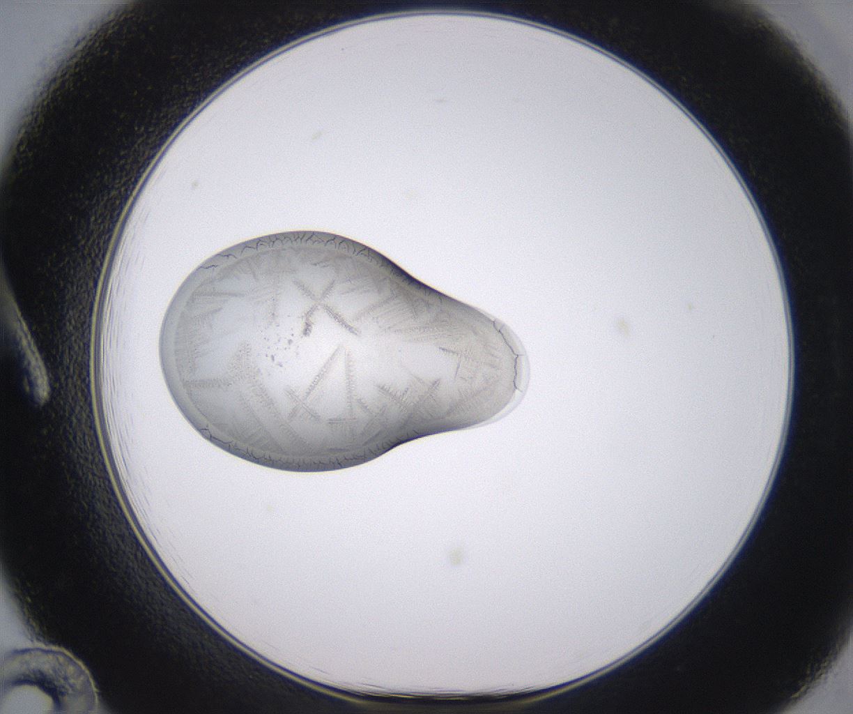 folderID350_plateID2350_batchID11073_wellNum12_profileID1_d1_r166745_ef.jpg