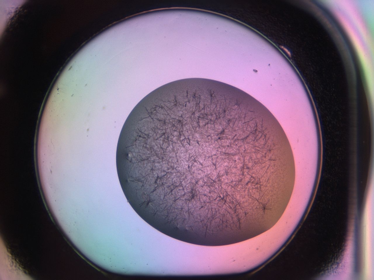 03ew_F9_ImagerDefaults_6.jpg