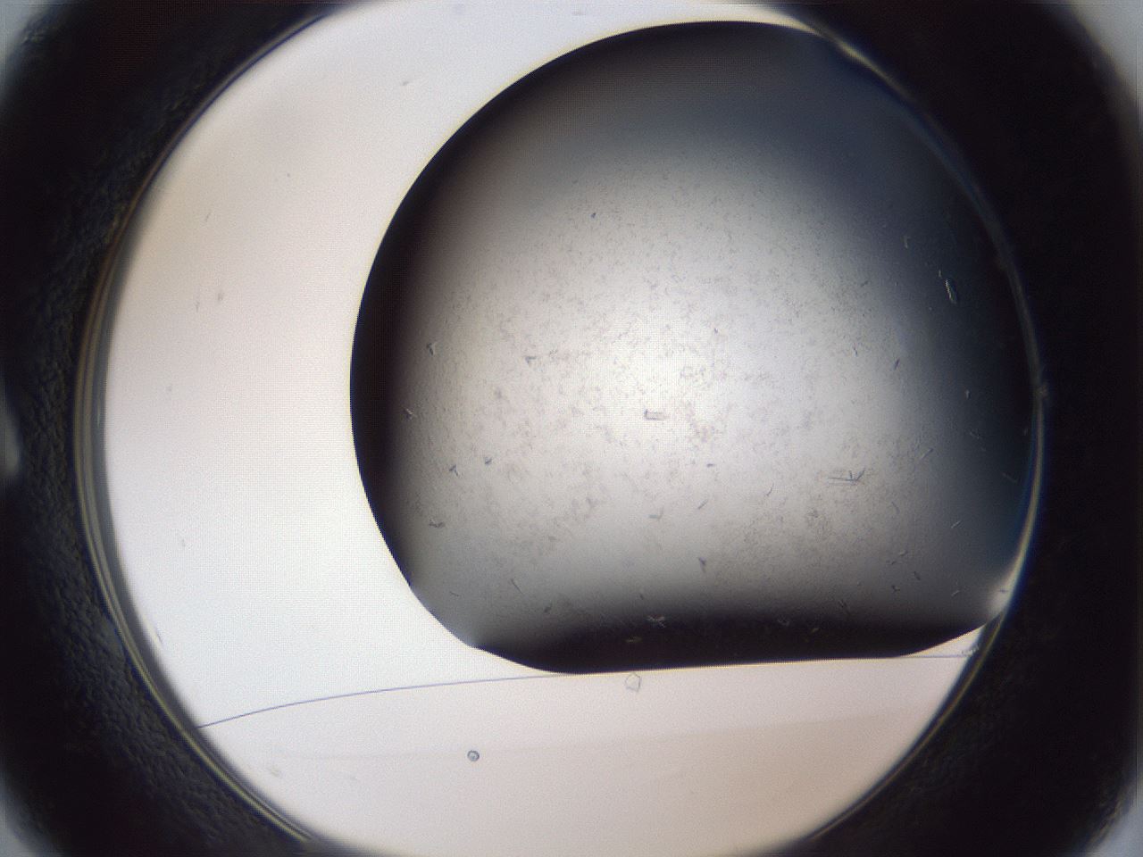 folderID369_plateID1369_batchID4733_wellNum1_profileID1_d1_r83248_ef.jpg
