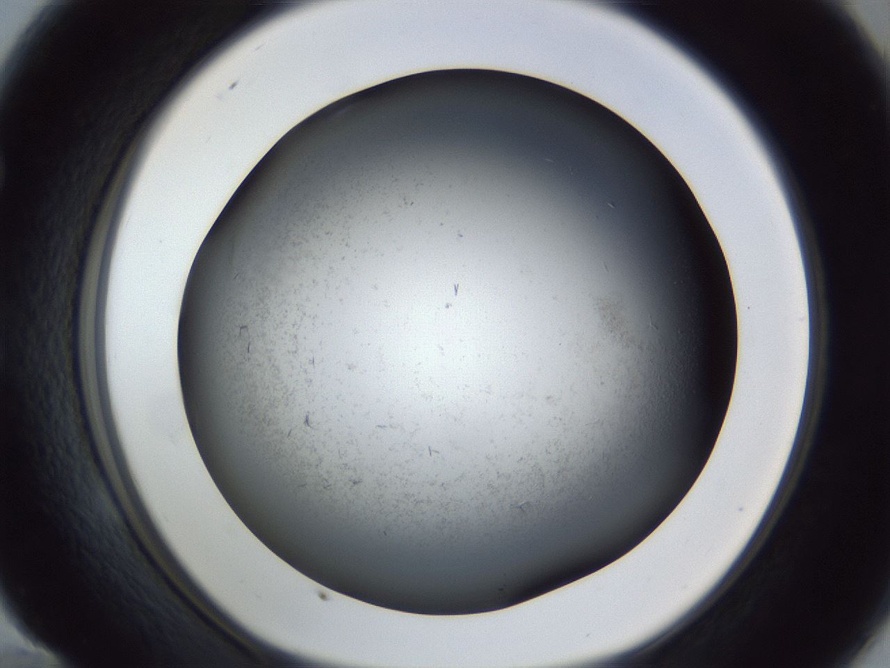 folderID369_plateID1369_batchID4733_wellNum58_profileID1_d1_r83305_ef.jpg