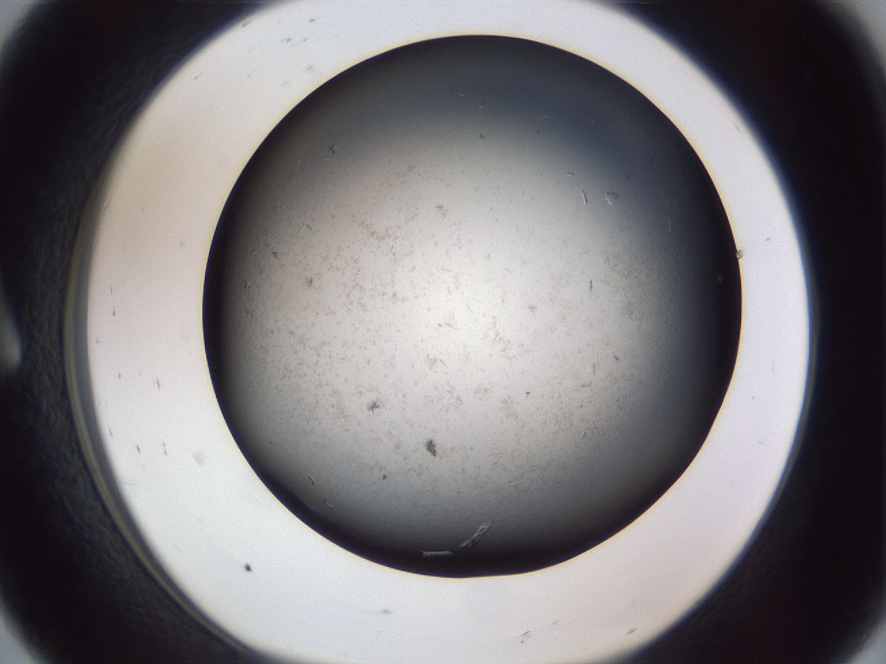 folderID369_plateID1369_batchID4733_wellNum8_profileID1_d1_r83255_ef.jpg