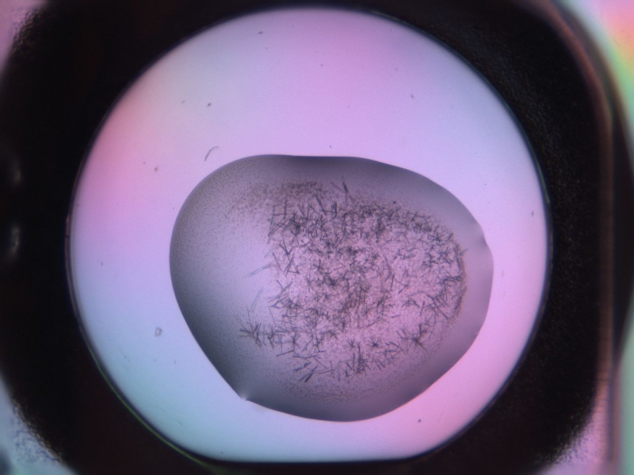 03ex_C6_ImagerDefaults_6.jpg