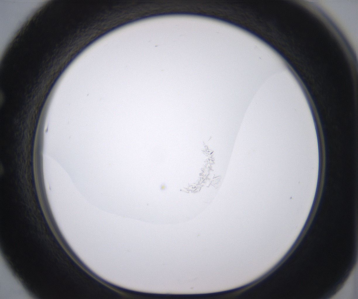 folderID379_plateID2379_batchID11224_wellNum53_profileID1_d1_r175415_ef.jpg