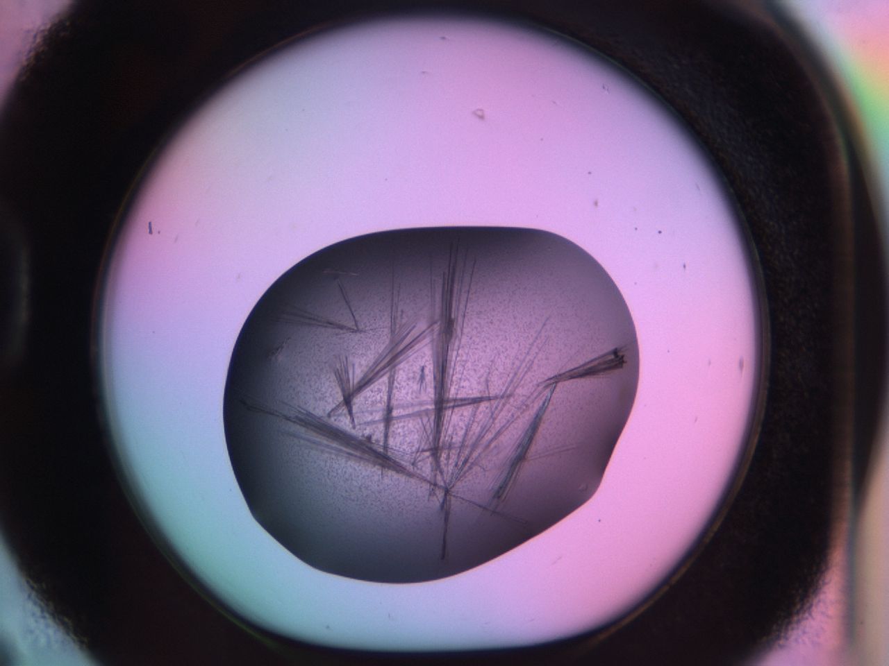 03ex_D6_ImagerDefaults_7.jpg